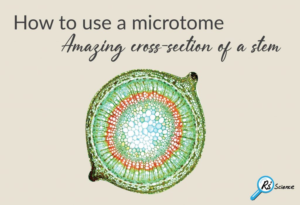 how to use a microtome