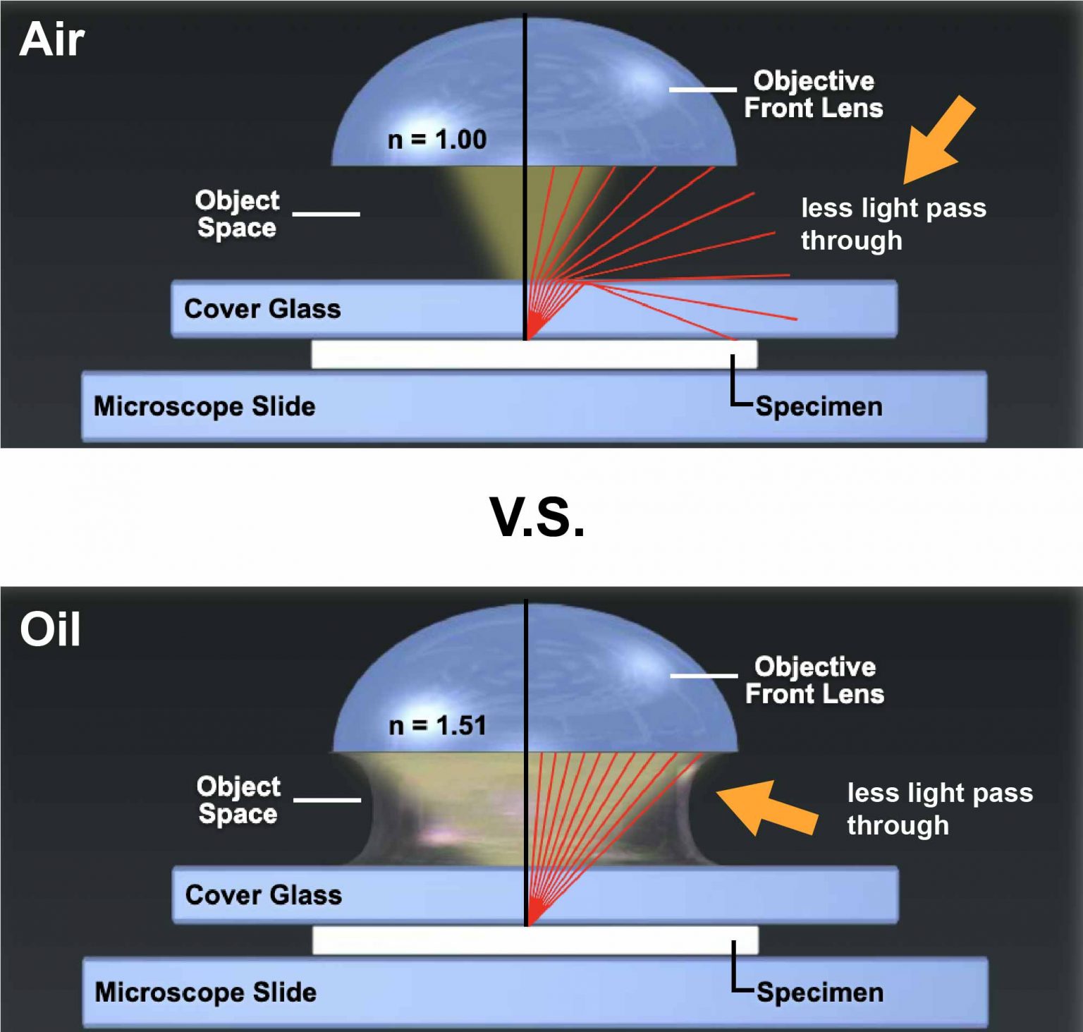 How to Use Microscope Immersion Oil to Get Higher Resolution Images