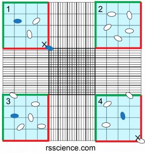 How to Use a Hemocytometer to Count Cells - Rs' Science