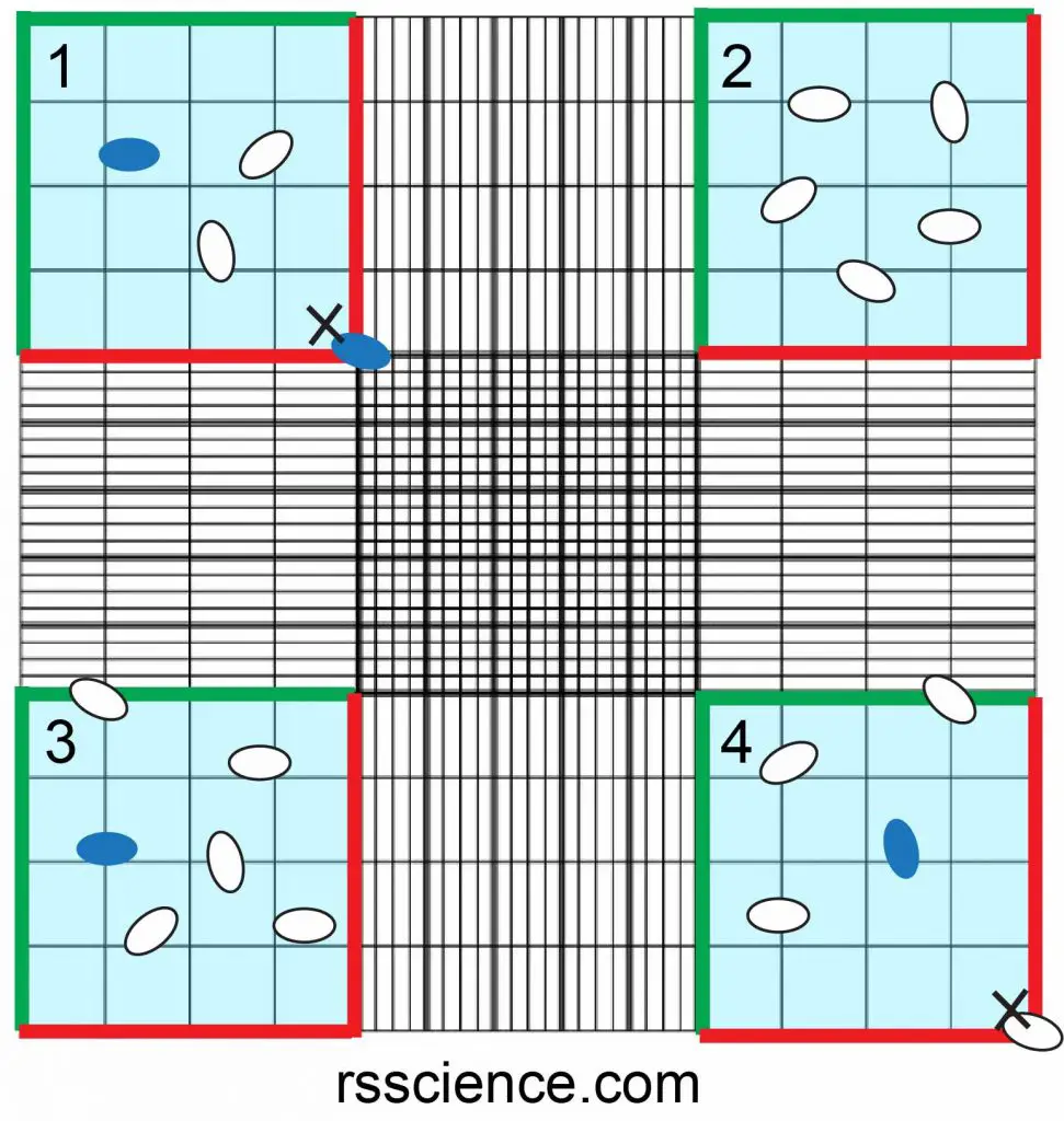 How to Use a Hemocytometer to Count Cells - Rs' Science