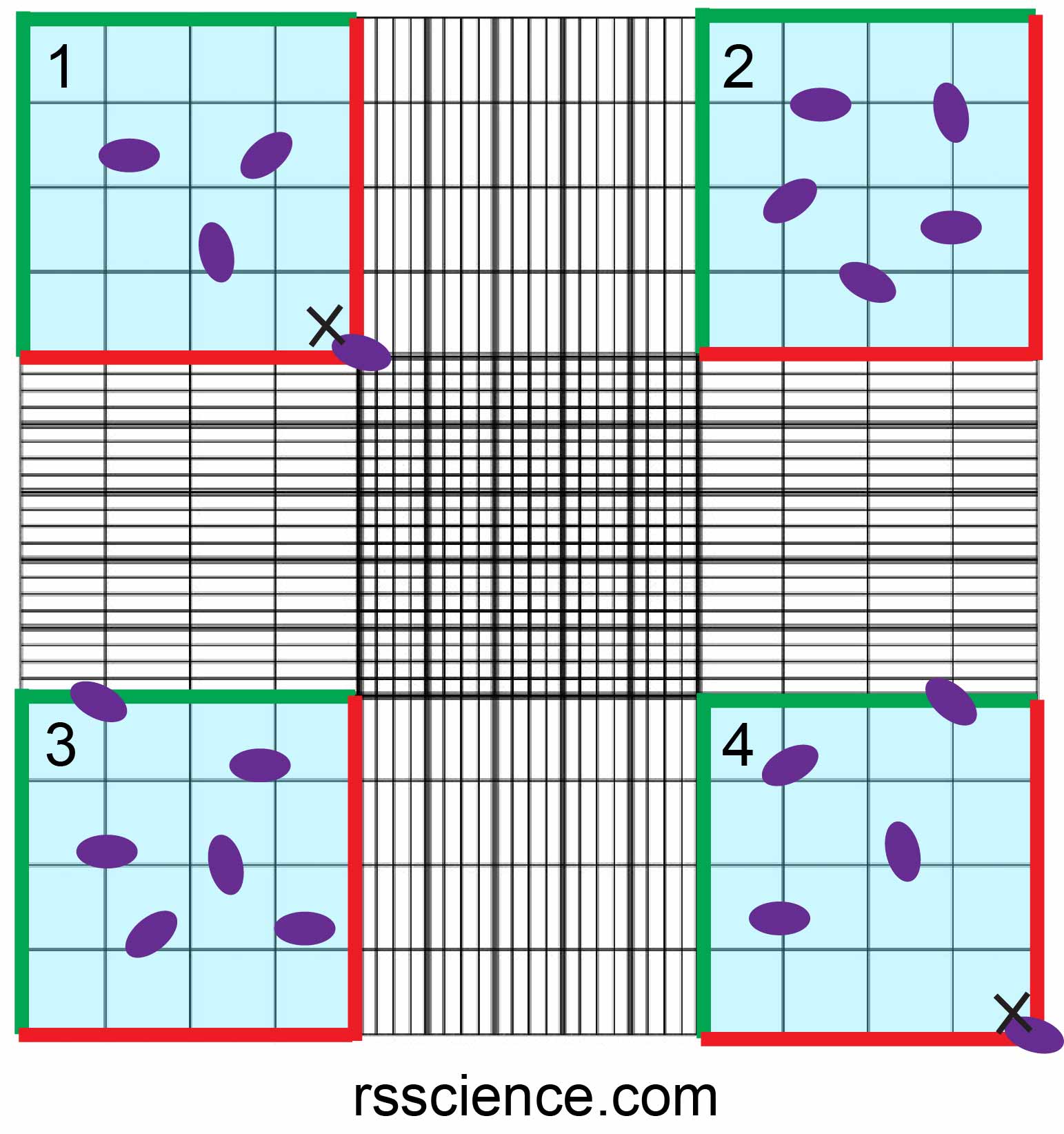 How To Use A Hemocytometer To Count Cells Rs Science 5500