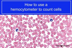 how to use hemocytometer to count cells