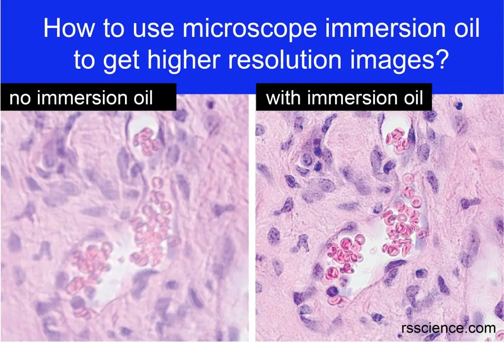 how to use microscope immersion oil to get higher images
