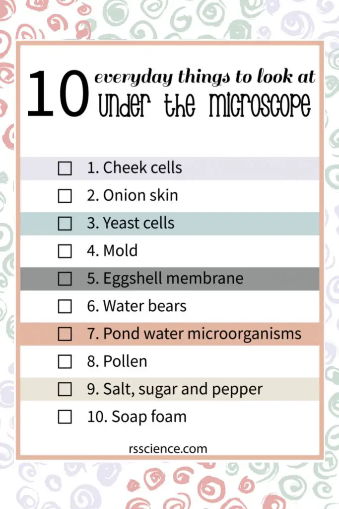 10 everyday things you should look at under a microscope printable