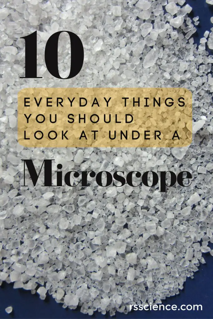 10 everyday things you should look at under a microscope_pinterest2