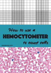 How To Use A Hemocytometer To Count Cells Rs Science