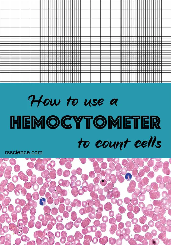 Cómo usar un hemocitómetro para contar células - Rs' Science | Image ...