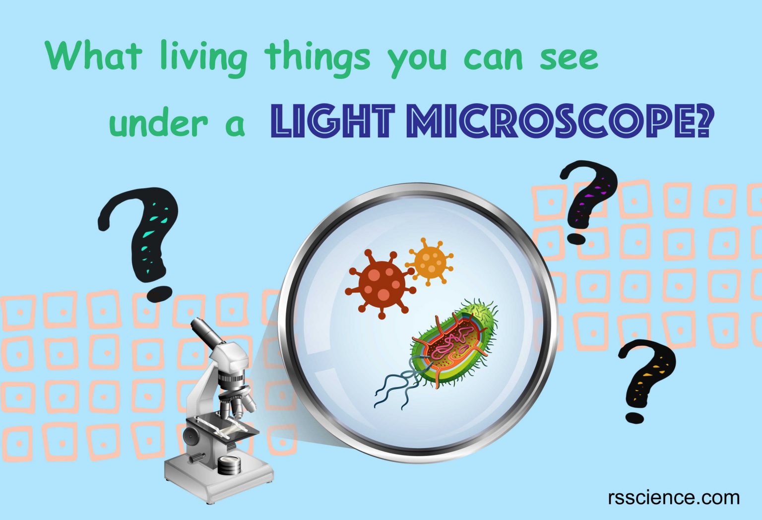 What Living Things You Can See Under a Light Microscope? Rs' Science
