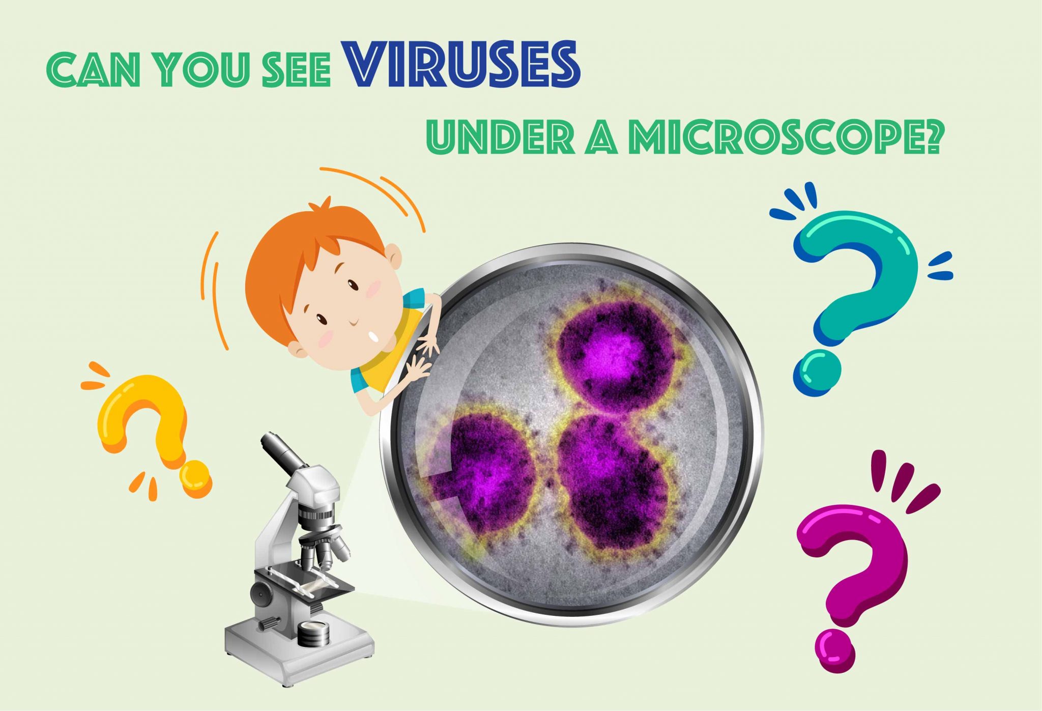 Can You See Viruses Under a Microscope? Rs' Science