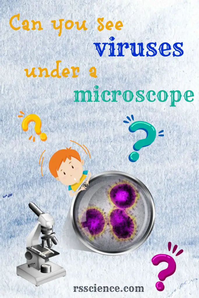 can-you-see-viruses-under-a-microscope