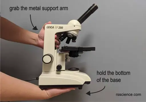 hold-microscope-with-both-hands
