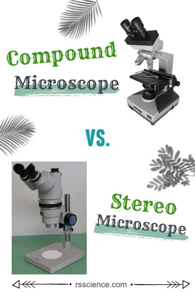 how to choose microscope compound vs stereo microscope