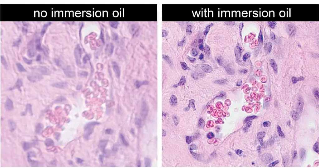 microscope-immersion-oil-increase-resolution