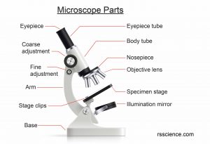 13 Tips You Should Know about Taking Care of Your Microscope - Rs' Science