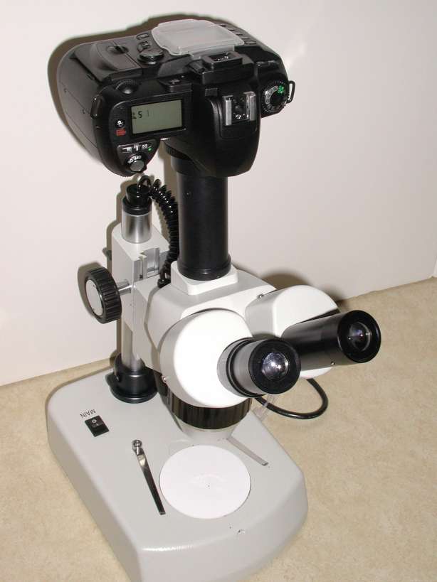 mounting-DSLR-camera-stereo-microscope