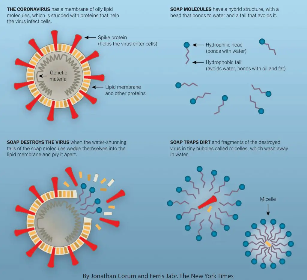 soap COVID19