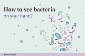 how to see bacteria on your hand