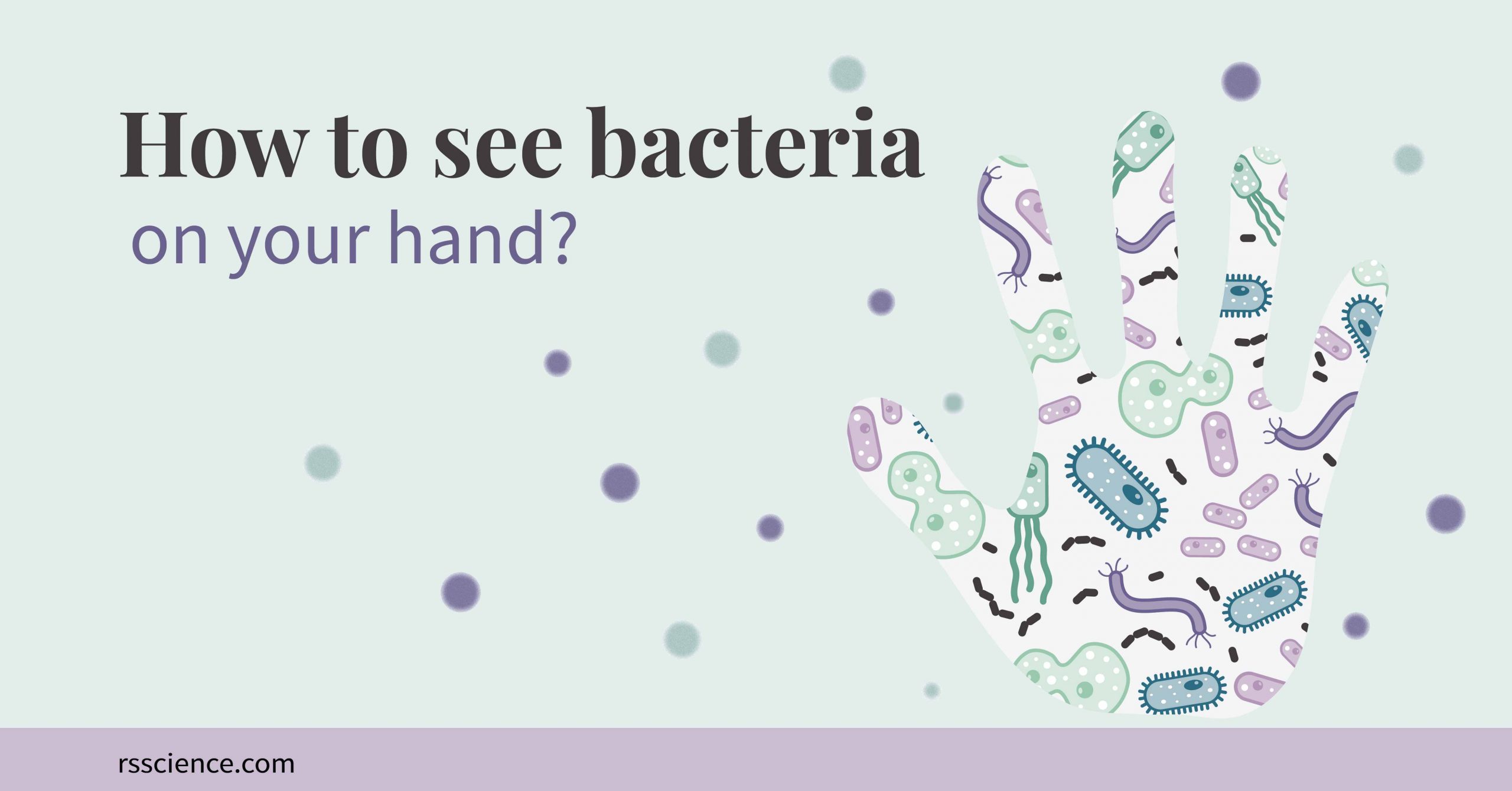 How to See Bacteria on Your Hand (Bacteria Handprint) - Rs' Science