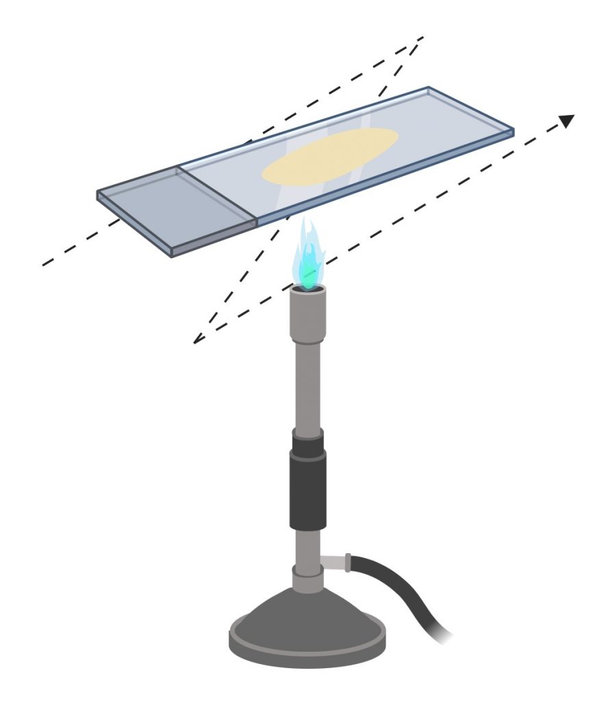 smear fixation