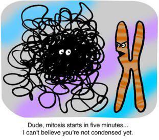 6 Science Humor Images That Make You Smile - Rs' Science