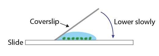 Mount-a-slide-with-angles