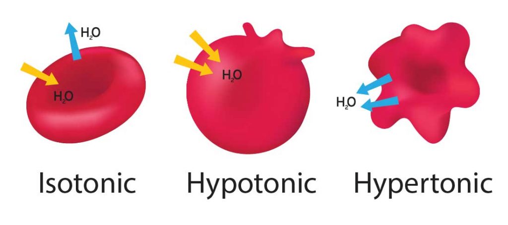 Osmosis