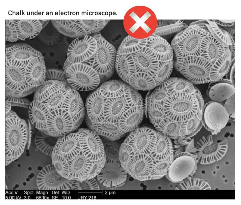 5 Science Facts Behind Astonishing Electron Microscope Images - Rs' Science