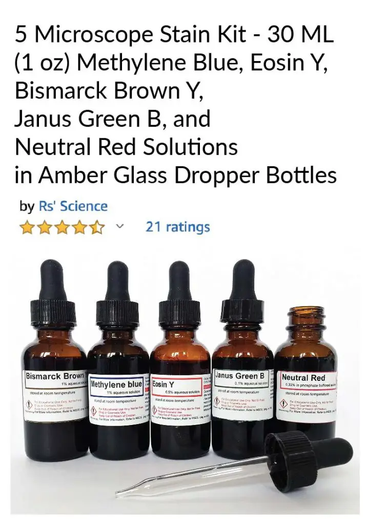 Observing Bacteria Under the Microscope Gram Stain Steps Rs' Science