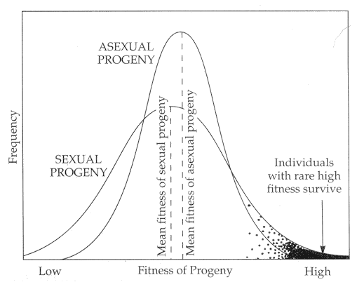 Sexual_vs_asexual_reproduction-fitness