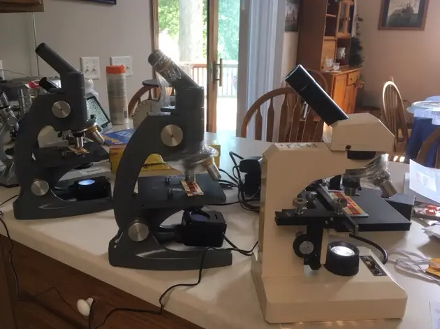 microscope-with-plastic-wrap-setup