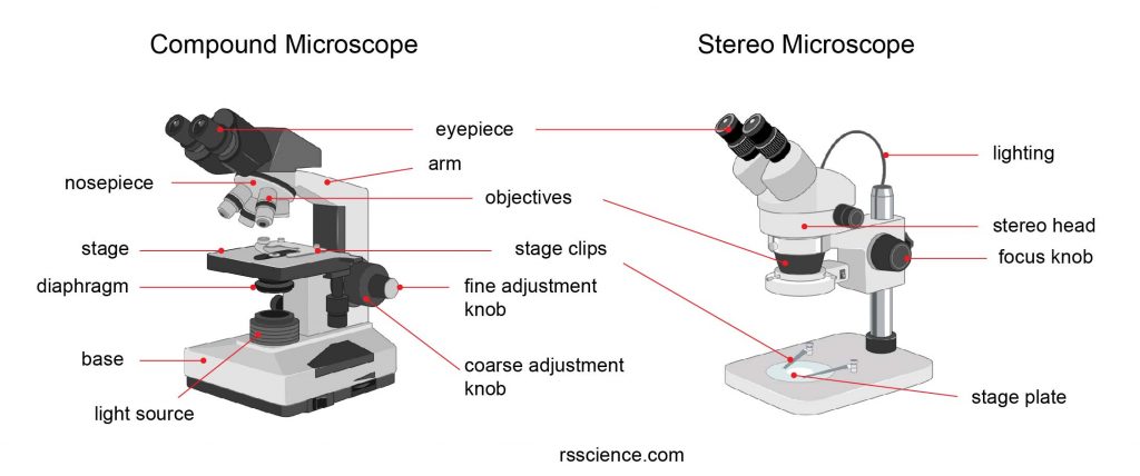 General Biology | Carlson Stock Art | Microscope parts, General biology,  Microscope