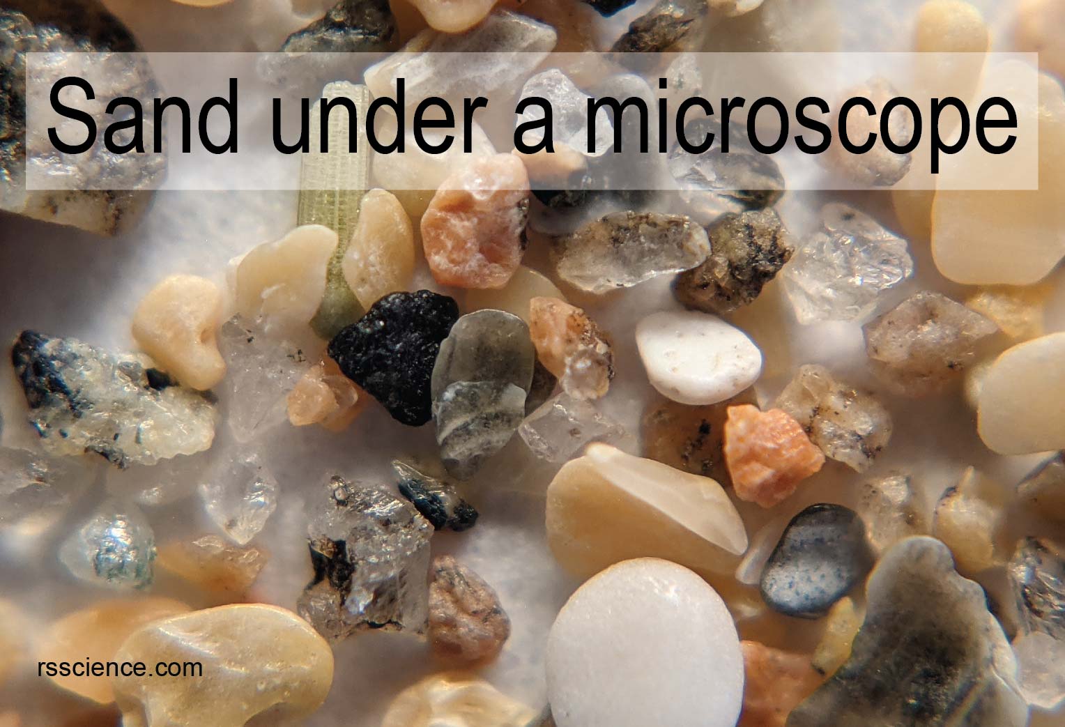 grain of sand under microscope