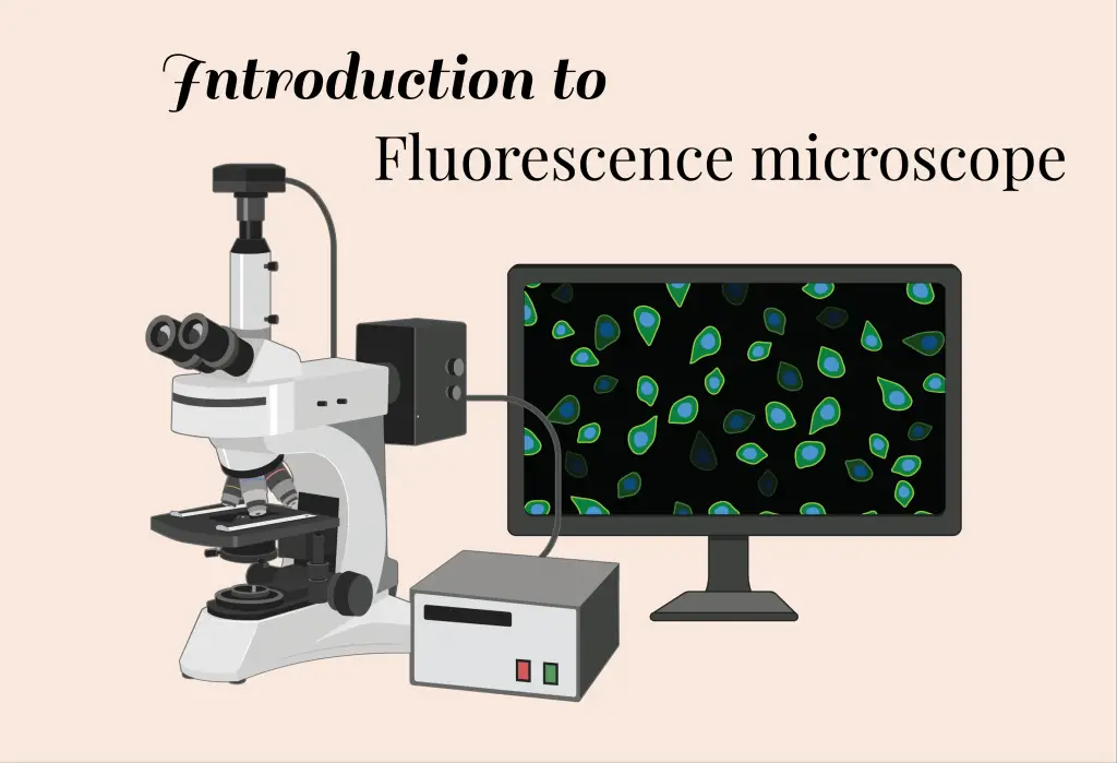 introdiuction to fluorescence microscope