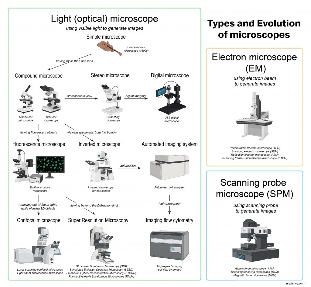 Different types of Microscopes – light microscope, electron microscope ...