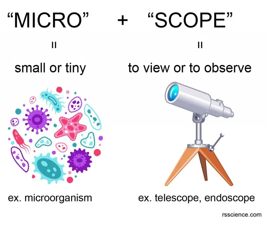 microscope definition