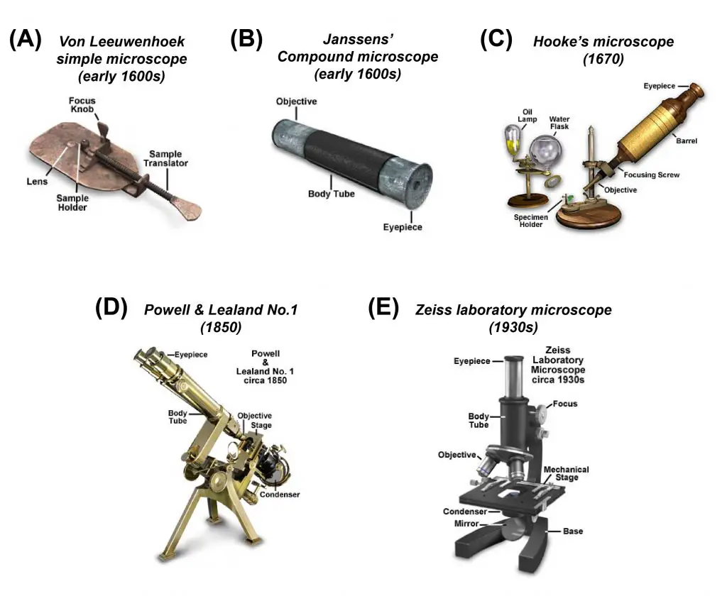 antique compound microscope history