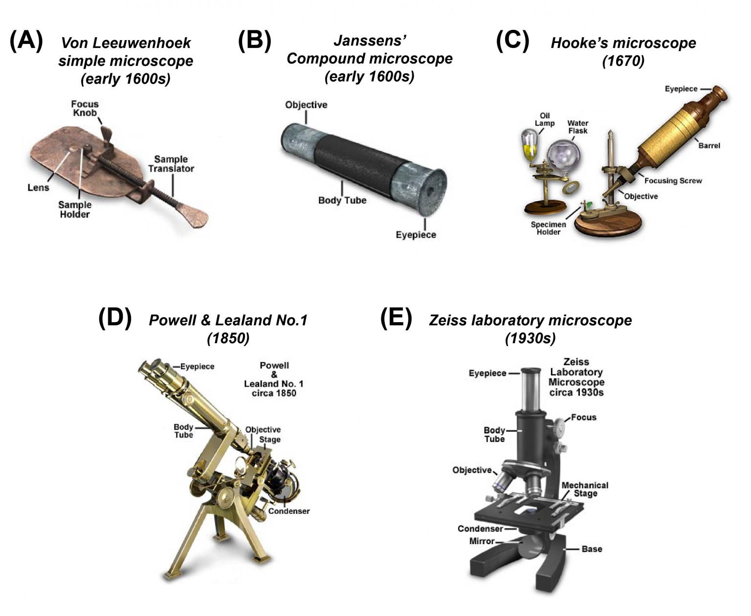 history of microscope presentation