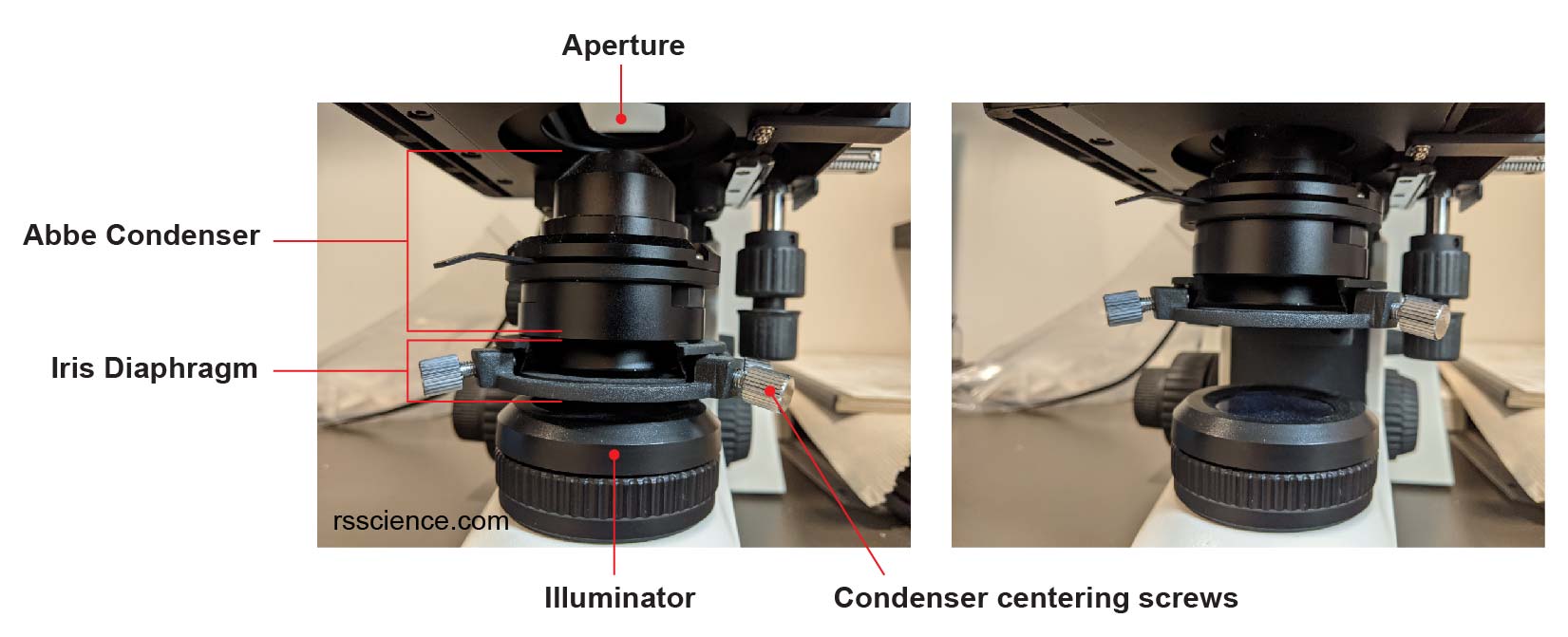 compound-microscope-parts-labeled-diagram-and-their-functions-rs