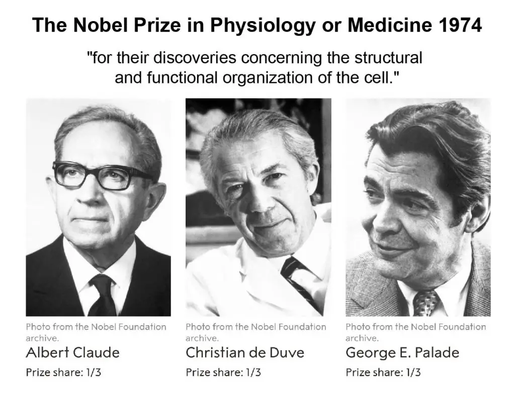 Nobel-Prize-ribosome-structure