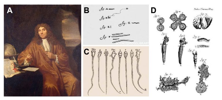 Who Invented the Microscope? History of Microscope - Rs' Science