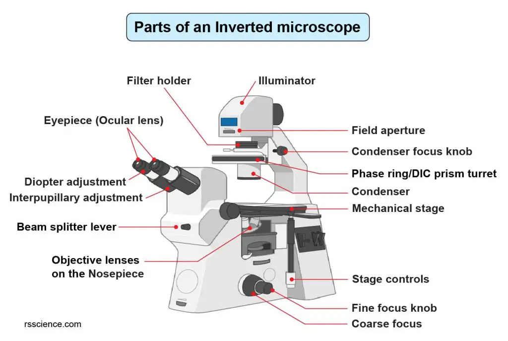 inverted-microscope-parts