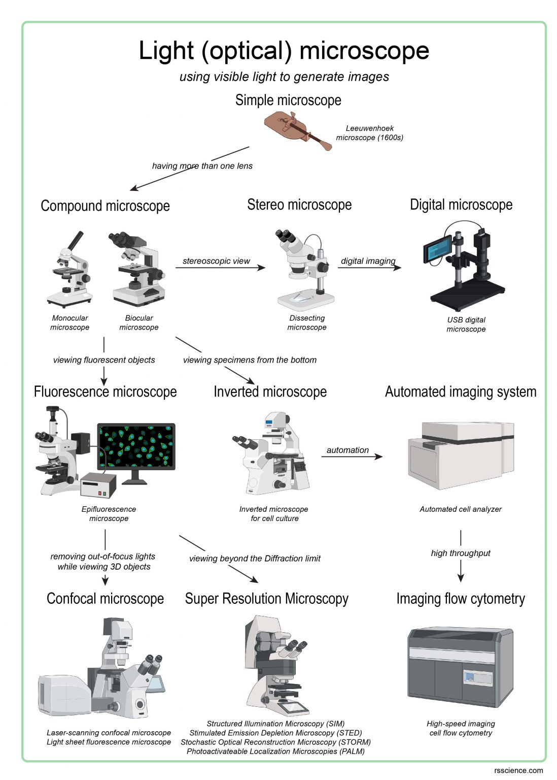 Different types of Microscopes light microscope, electron microscope