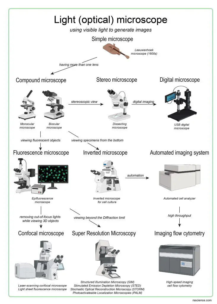 light-microscope-types