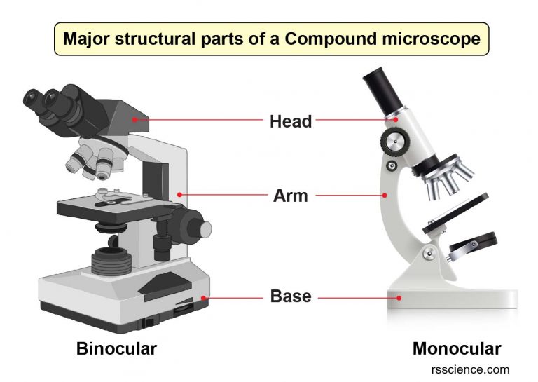 compound-microscope-parts-labeled-diagram-and-their-functions-rs