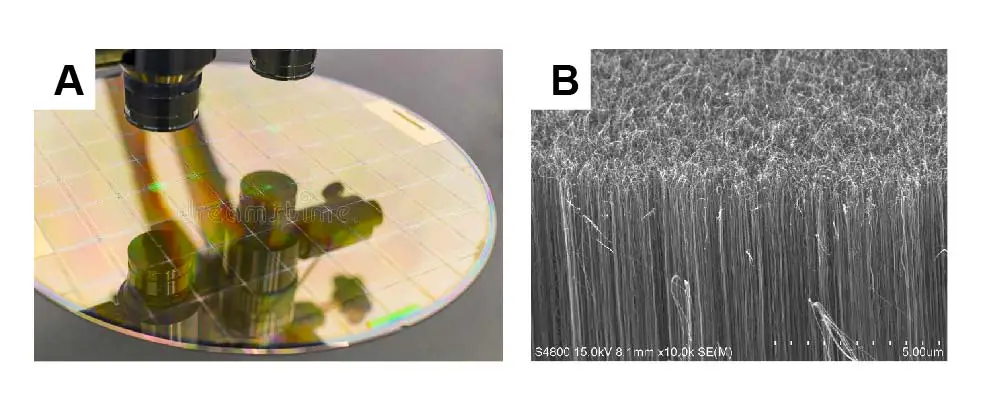 microscope-application-silicon-wafer-nanotube