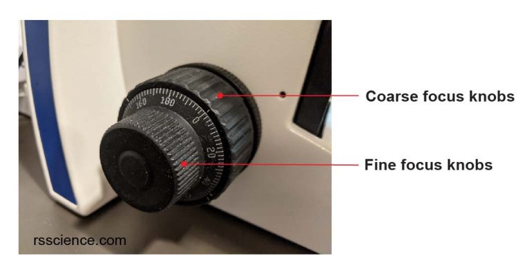 Compound Microscope Parts – Labeled Diagram and their Functions - Rs