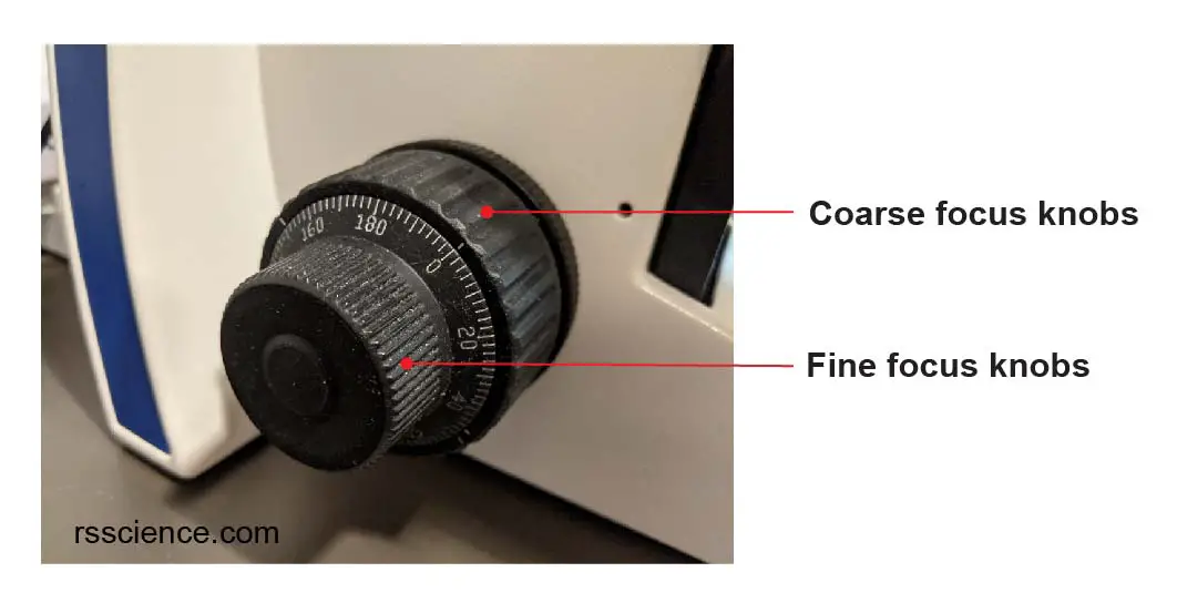 Compound Microscope Parts Labeled Diagram and their Functions Rs