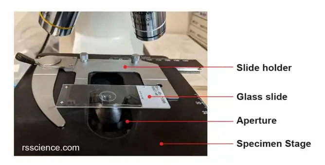 microscope-mechanical-stage