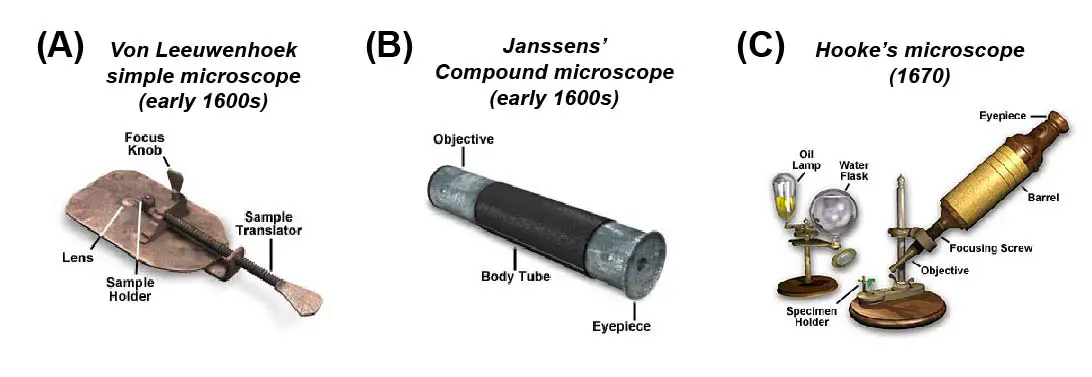 who-invented-the-microscope-history-of-microscope-rs-science