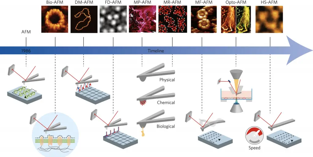 power-of-scanning-probes-microscopes